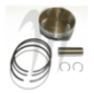 SBT -USA . Plunger Platinum, BRP Sea-Doo, 130hp / 155hp ( standard 99.96mm ) SBT -USA . Plunger Platinum, BRP Sea-Doo, 130hp / 155hp ( standard 99.96mm )