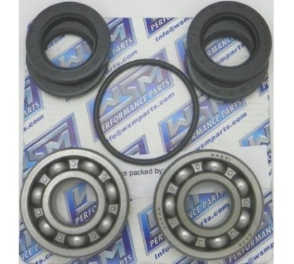 Kawasaki JS Turbine Bearing Kit