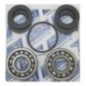 Kawasaki JS Turbine Bearing Kit