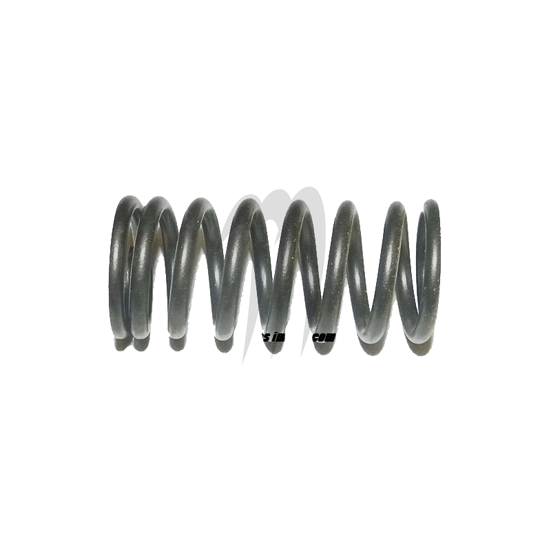 Ressort De Soupape (int) Seadoo 1503cc