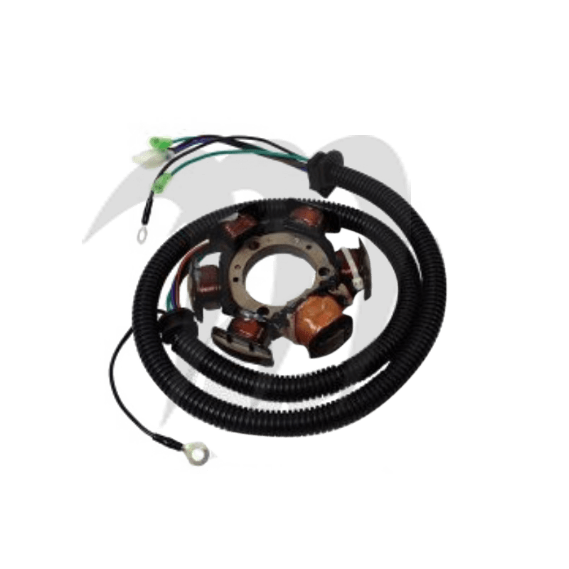 Complete Stator Assembly Amature Coil, 1200cc
