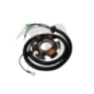 Complete Stator Assembly Amature Coil, 1200cc