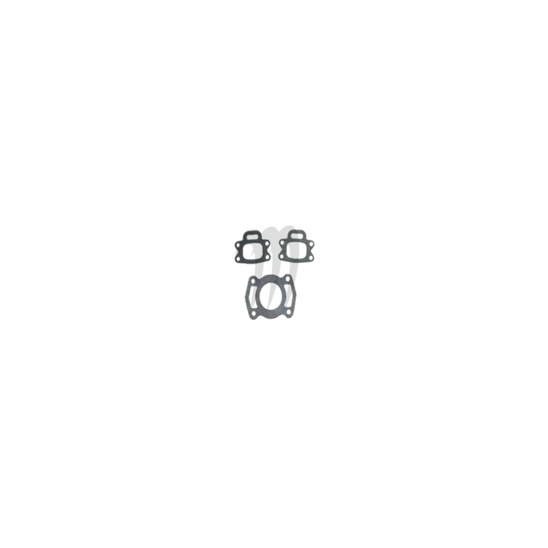 Kit exhaust gasket, 580