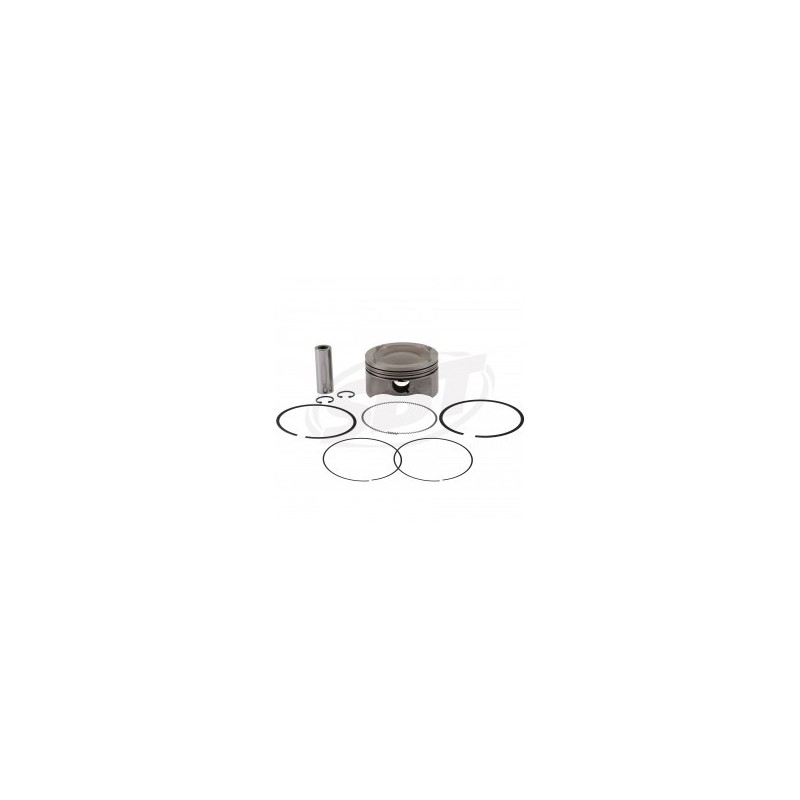 SBT -USA  Plungers Kit Platinum , BRP Sea-Doo, 185hp (standard 99.96mm )